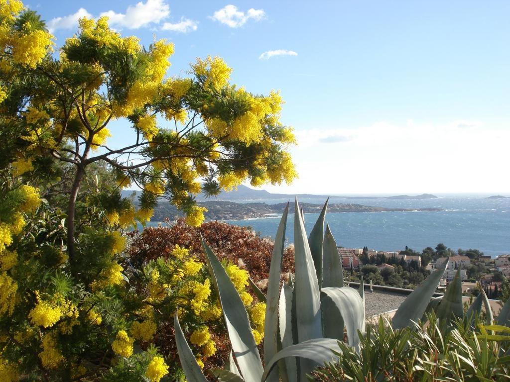 Appartamento T2 Aigues Marines 2 étoiles Bandol Esterno foto