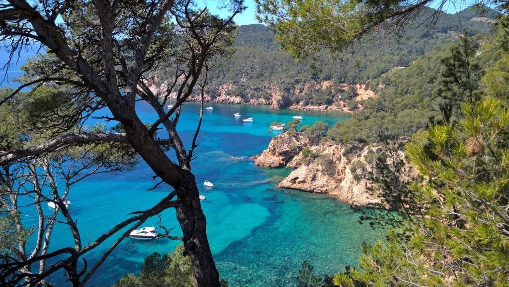 Appartamento T2 Aigues Marines 2 étoiles Bandol Esterno foto